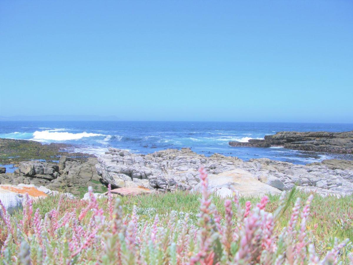 Villa Beachfront House - Hermanus Whale View Extérieur photo
