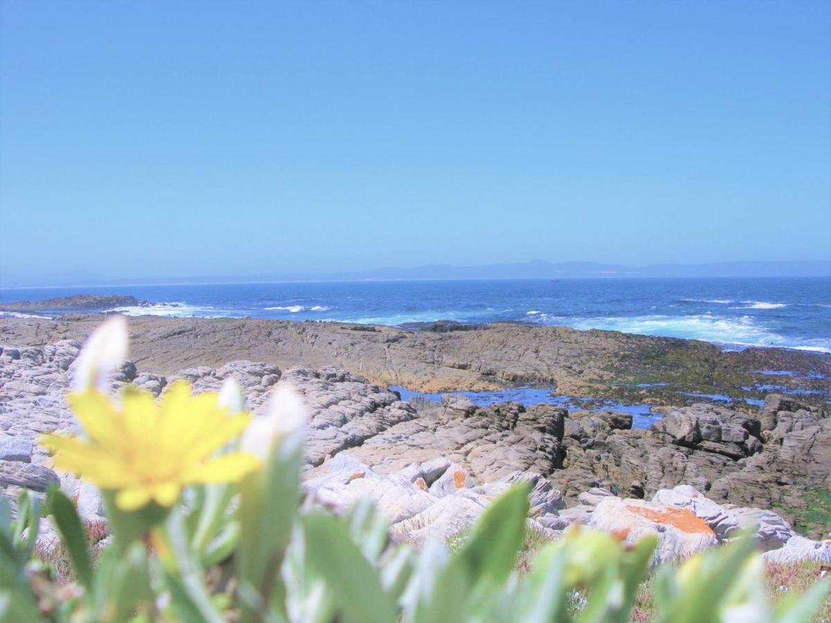 Villa Beachfront House - Hermanus Whale View Extérieur photo