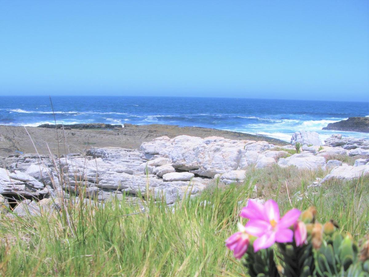 Villa Beachfront House - Hermanus Whale View Extérieur photo