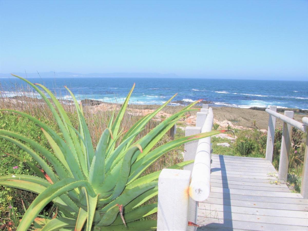 Villa Beachfront House - Hermanus Whale View Extérieur photo