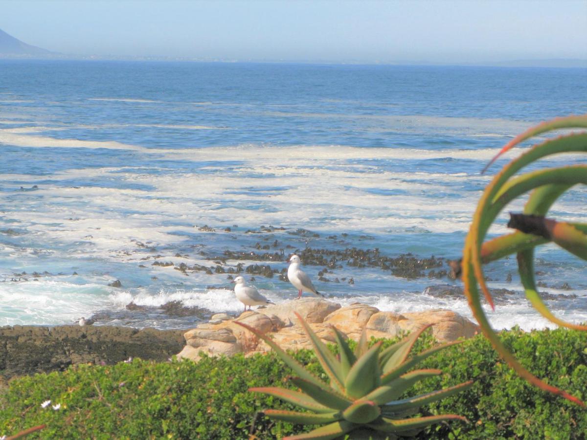 Villa Beachfront House - Hermanus Whale View Extérieur photo