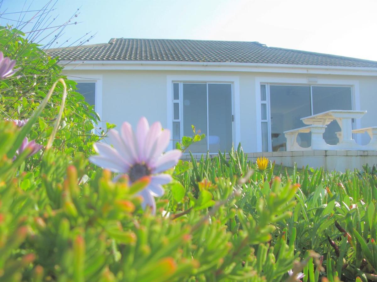 Villa Beachfront House - Hermanus Whale View Extérieur photo