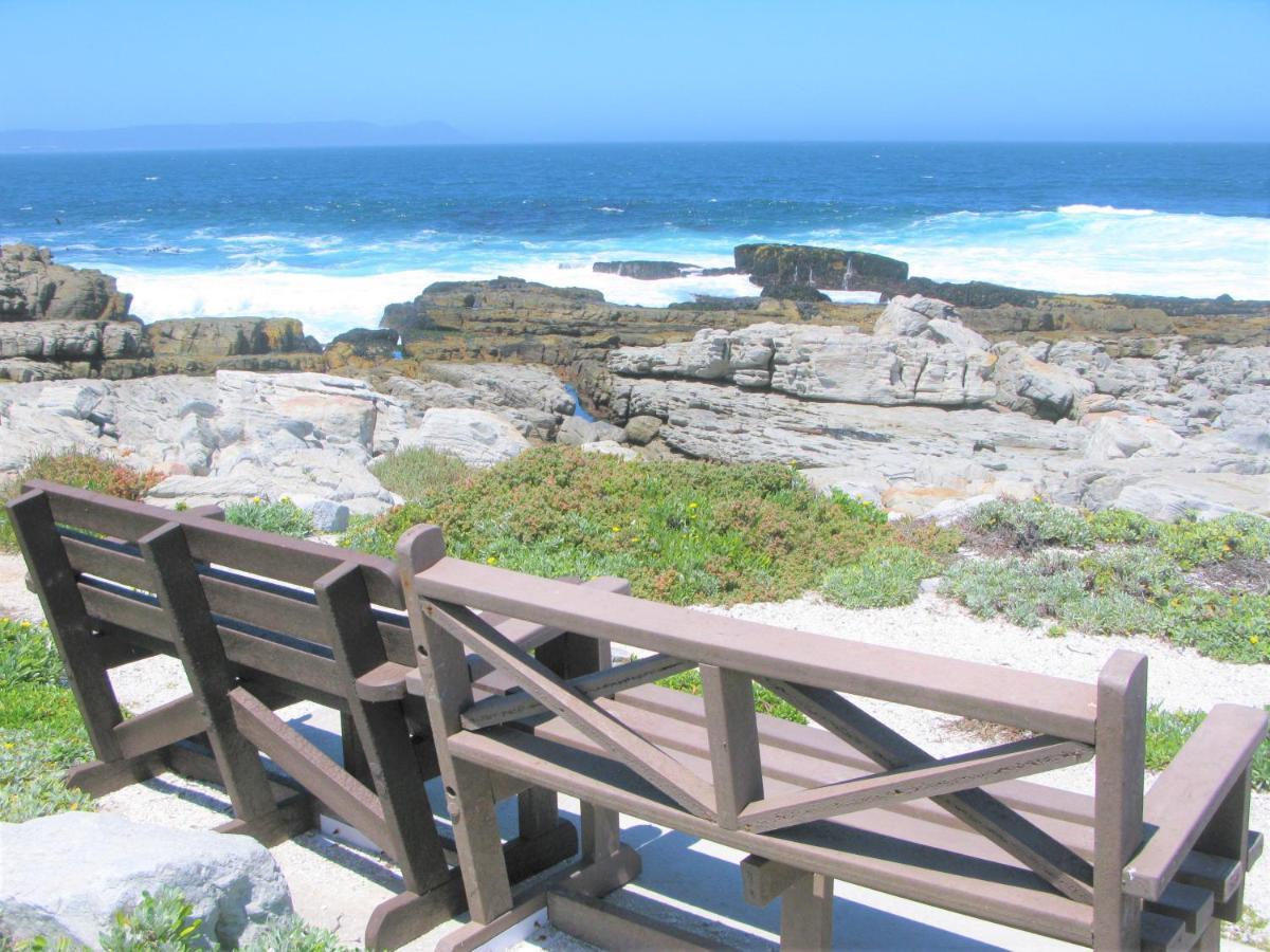 Villa Beachfront House - Hermanus Whale View Extérieur photo